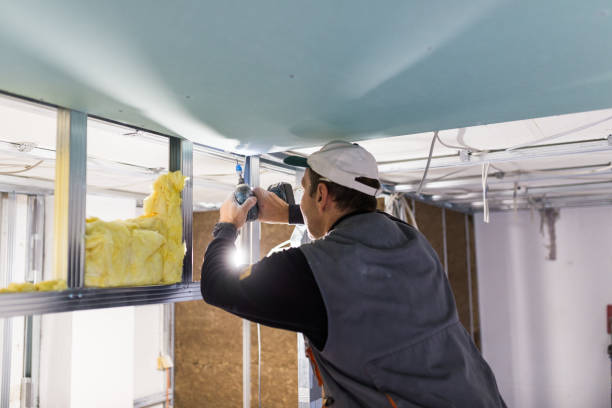 Best Commercial Insulation in Sparta, NC