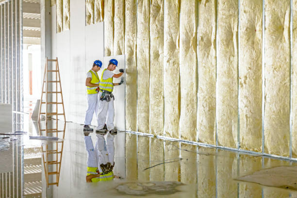 Best Insulation Installation Services in Sparta, NC